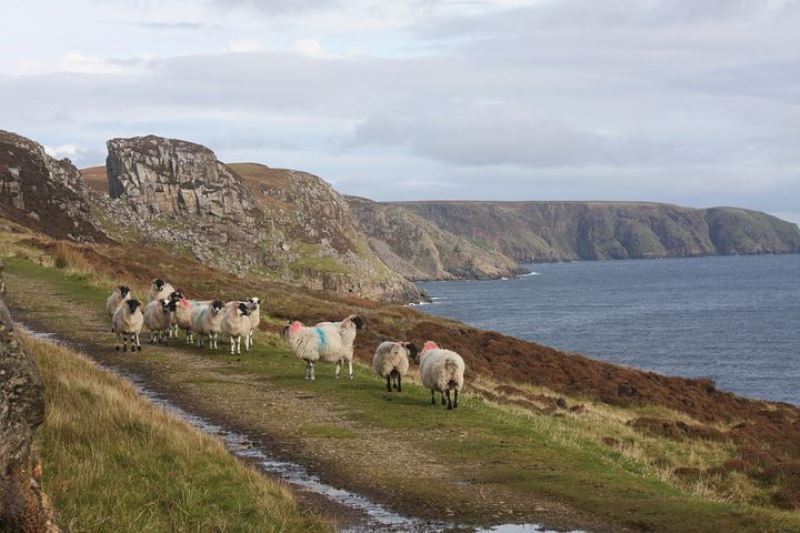 De l'Ecosse à la Norvège  via le canal calédonien : Départ OBAN  - Arrivée BERGEN - 12 jours