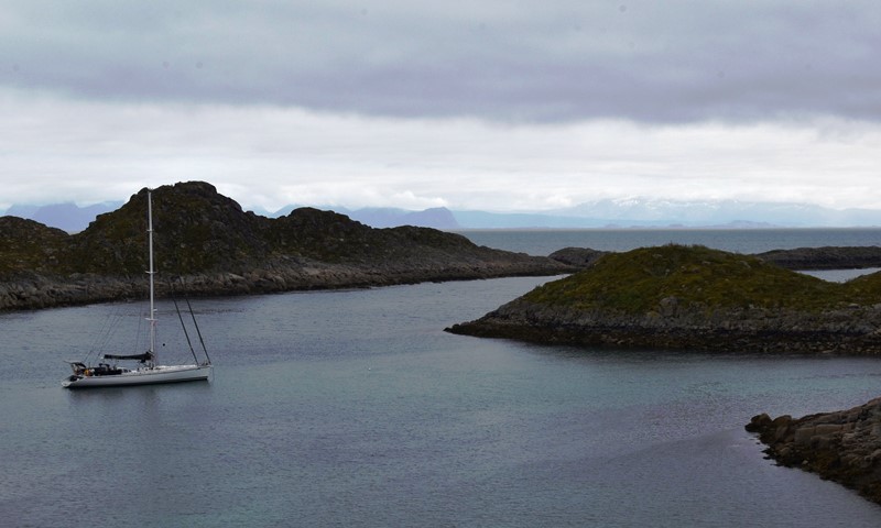 Norvège Lofoten  : Croisière Scientifique pour tous  "L'appel du large des grands mammifères marins"