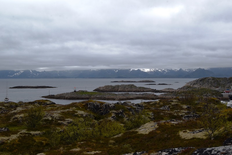 Norvège Lofoten  : Croisière Scientifique pour tous  "L'appel du large des grands mammifères marins"