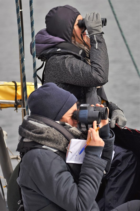 Norvège Lofoten  : Croisière Scientifique pour tous  "L'appel du large des grands mammifères marins"